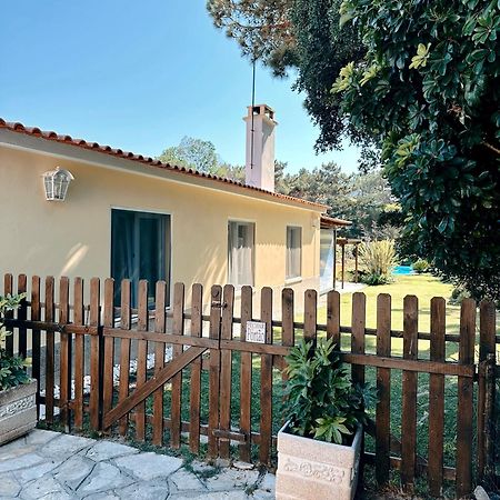 Casa Girassol With A Beautiful Private Pool And Garden Villa Sintra Bagian luar foto