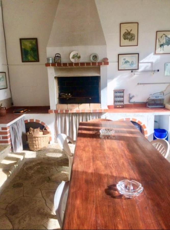 Casa Girassol With A Beautiful Private Pool And Garden Villa Sintra Bagian luar foto